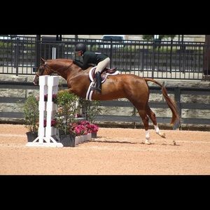 Meet your Posher, Alexis